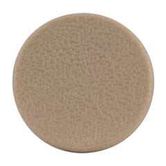 (1995-98)  Assist Handle Hole Cover-Round-Neutral