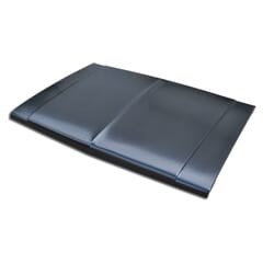 (1981-91)  Hood - Reproduction