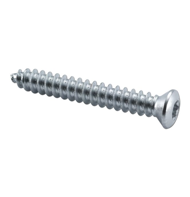 GM OEM 1978-1987 El Camino SS Chrome Headlight Bezel & Grille Trim Screws Kit (Stainless Steel)