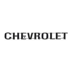 (1973-80) Tailgate Trim Panel Emblem - Chevrolet